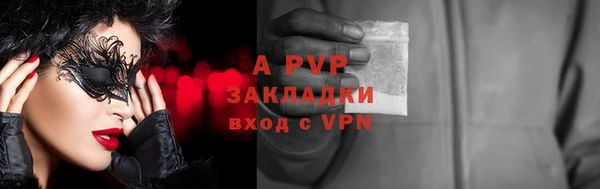 apvp Верея